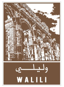 معلومات كتابية وأخرى على شكل صورة معا